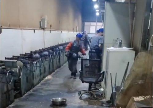 国产看片基地,揭秘看片基地的精彩世界